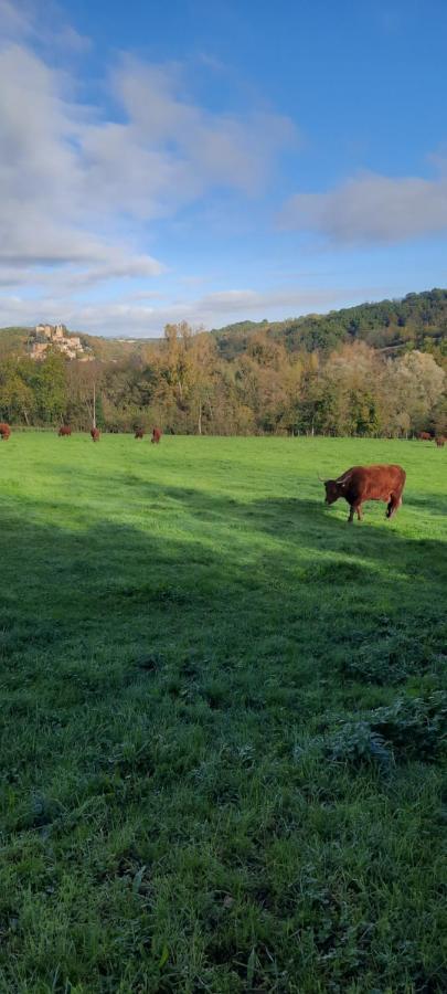Chatillon  Le Cocon Beaujolaisヴィラ エクステリア 写真